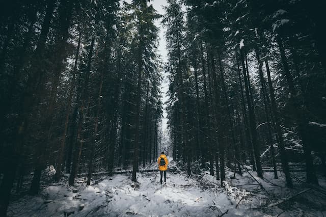 featureImage