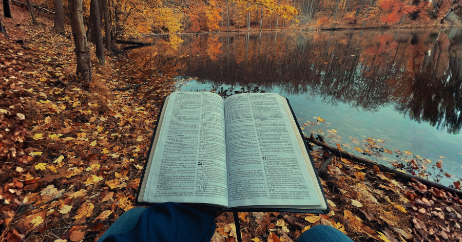 Noisy World, Quiet Heart