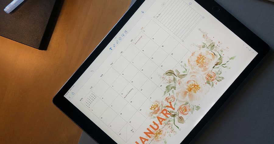 Our Hope for the Coming Year: God with Us